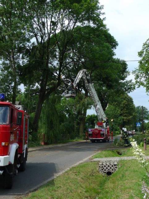 Usuwanie szkód po nawałnicy